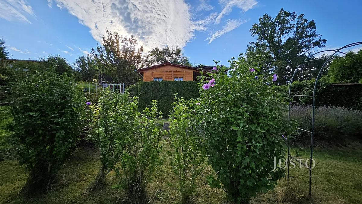 Fotka 15 z 18